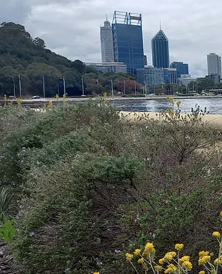 Perth